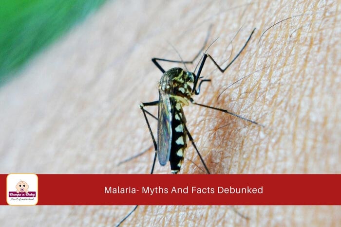 Malaria - 5 Myths And Facts Debunked