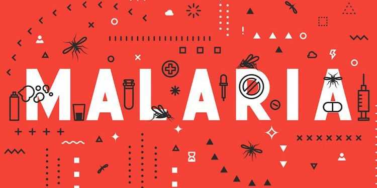 Malaria: Causes, Symptoms, Diagnosis, Prevention And Treatment