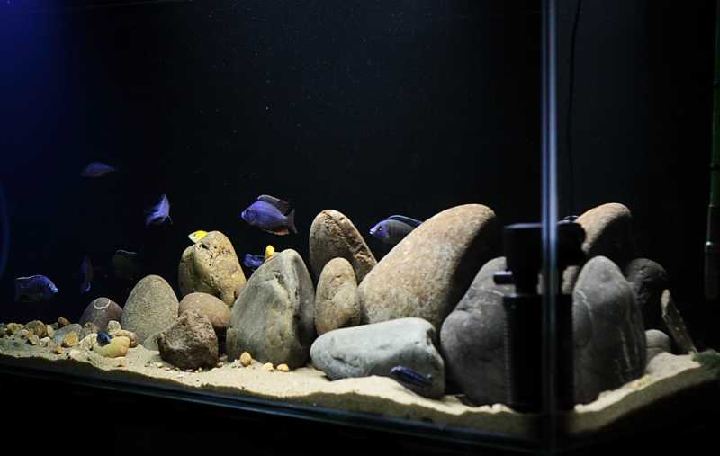 Malawi Tank