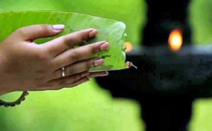 Malayalam Good Day Wishes - Mallusms