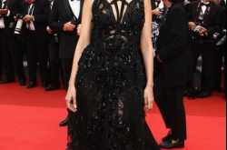 Mallika Sherwat - 2011 Cannes Film Festival