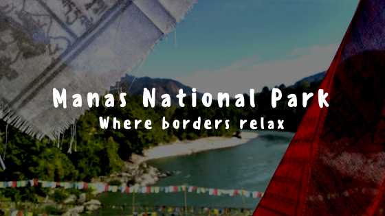 Manas National Park: Where Borders Relax | Nomadic Thunker
