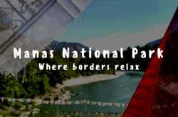 Manas National Park: Where borders relax | Nomadic Thunker