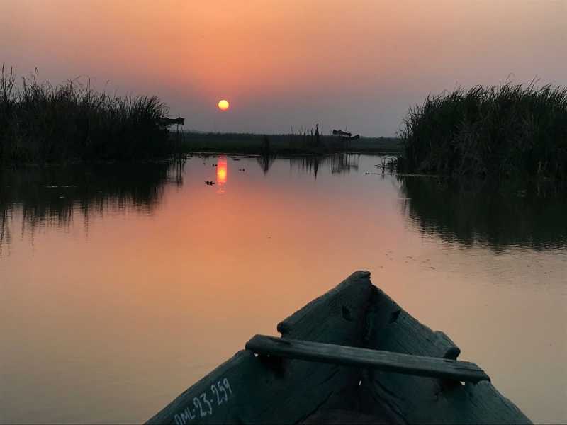 Mangalajodi - Birds And Serenity In A Winter Wetland