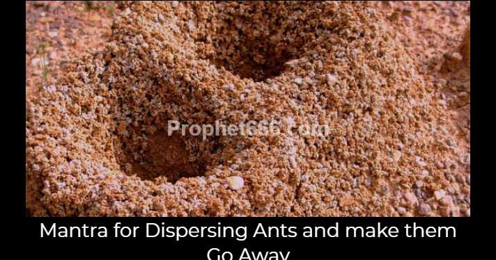 Mantra For Dispersing Ants And Make Them Go Away