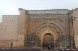 Marakkech - the city of snake charmers ..really ??