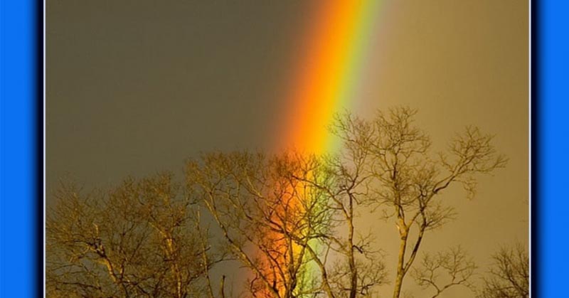 Maralekh E Magazine Issue 13 