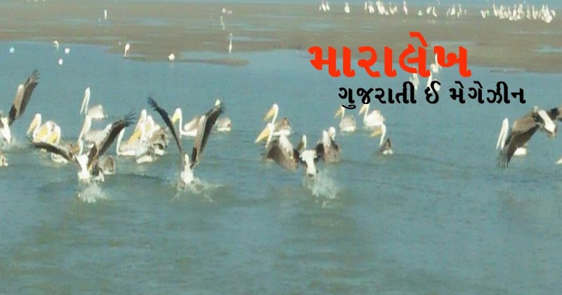 Maralekh E Magazine Issue 8 