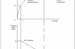 Marginal Utility Analysis