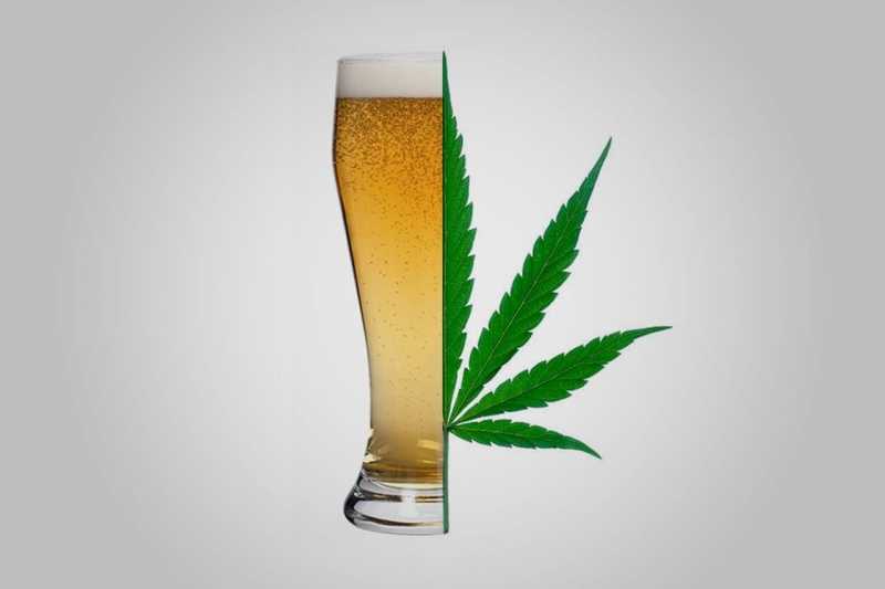 Marijuana Vs Alcohol - The Debate Continues