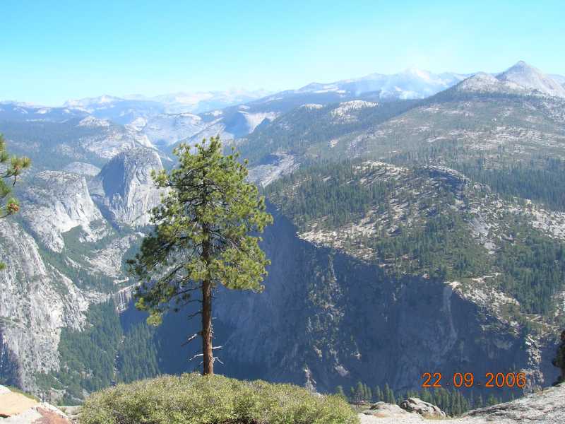 Marvel - #ThursdayTreeLove