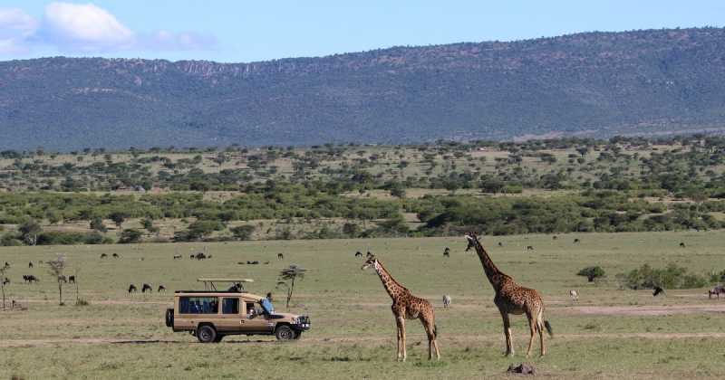Masai Mara National Reserve