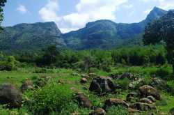 Masinagudi - A Jungle Retreat