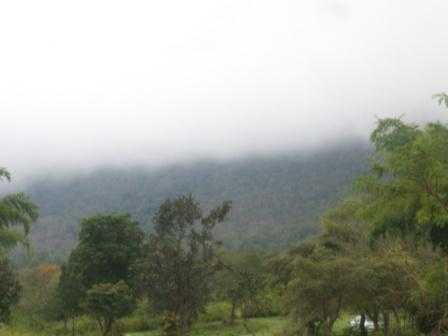 Masinagudi - A Home For Jungle Lovers. - Krishrecipes