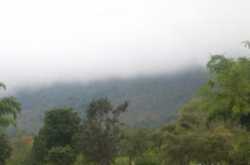 Masinagudi - A home for jungle lovers. - Krishrecipes