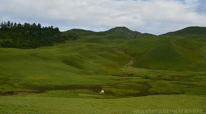 Mast Malang In Dayara Bugyal
