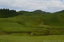 Mast Malang in Dayara Bugyal