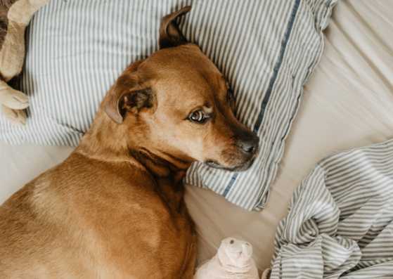 Master 5 Steps To Beat Procrastination