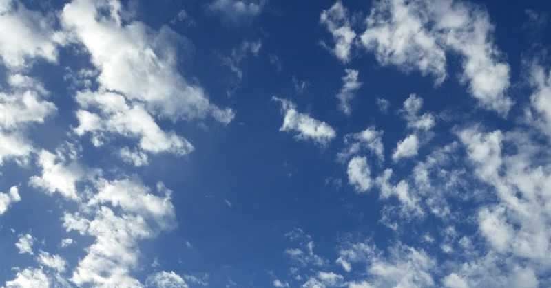 Master Artist At Work