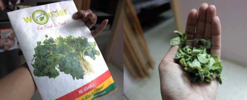 Matar Paneer Methi Maar Ke !