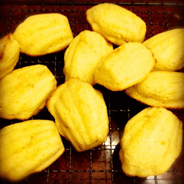 Mawa Madeleines