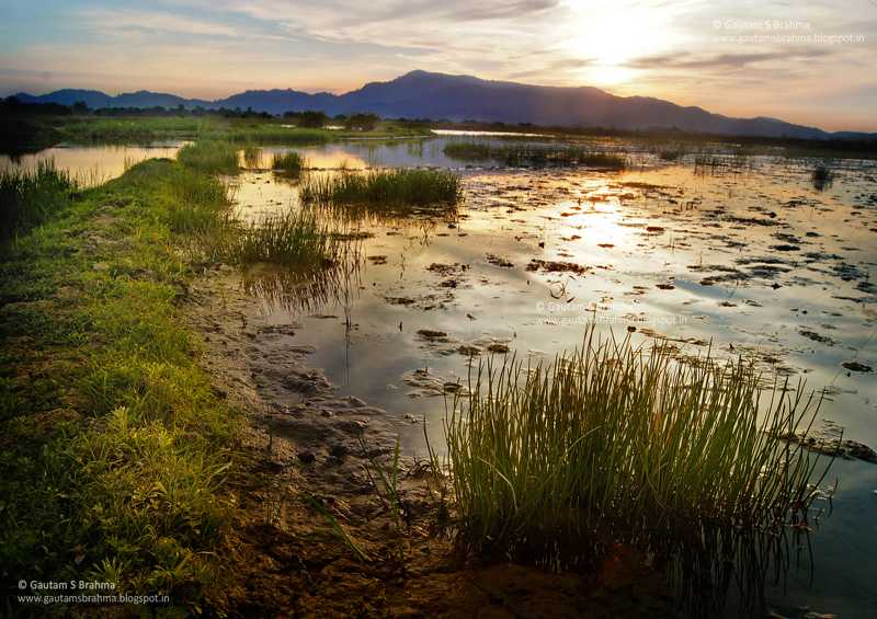 Mayong - Scenic Beauty