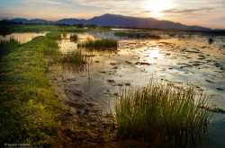 Mayong - Scenic Beauty