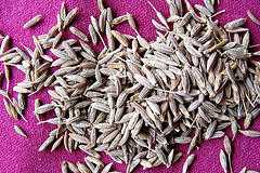 Medicinal Uses, Health Benefits And Chemical Constituents Of Jeera | DailyHealthNeeds.com