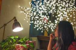 Meet Ananya Indu Roy: The Lady Who Can Truly Create Treasure From Trash Perfectly