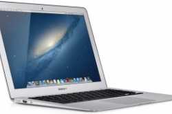 meet my new companion...