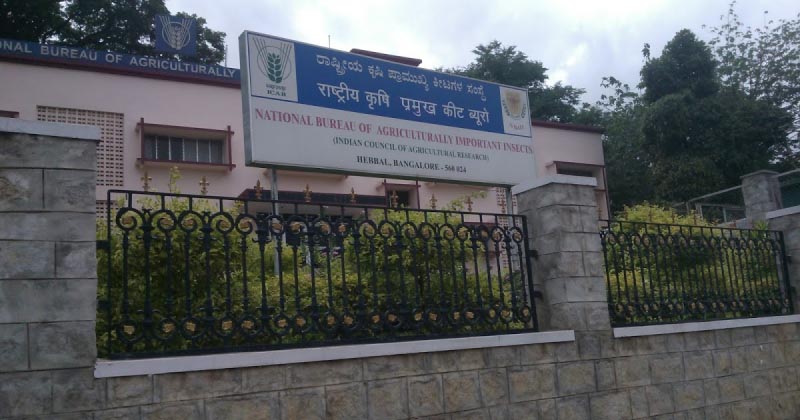 Meeting Dr. Abraham Verghese - Director Of National Bureau Of Agriculturally Important Insects