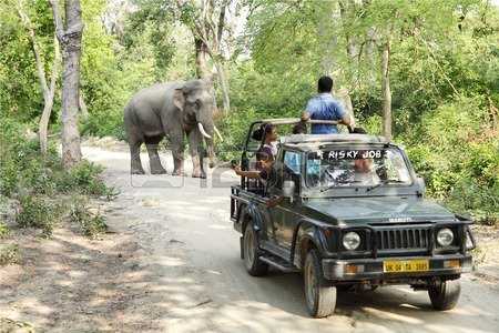 Meeting The Tribals In Corbett National Park