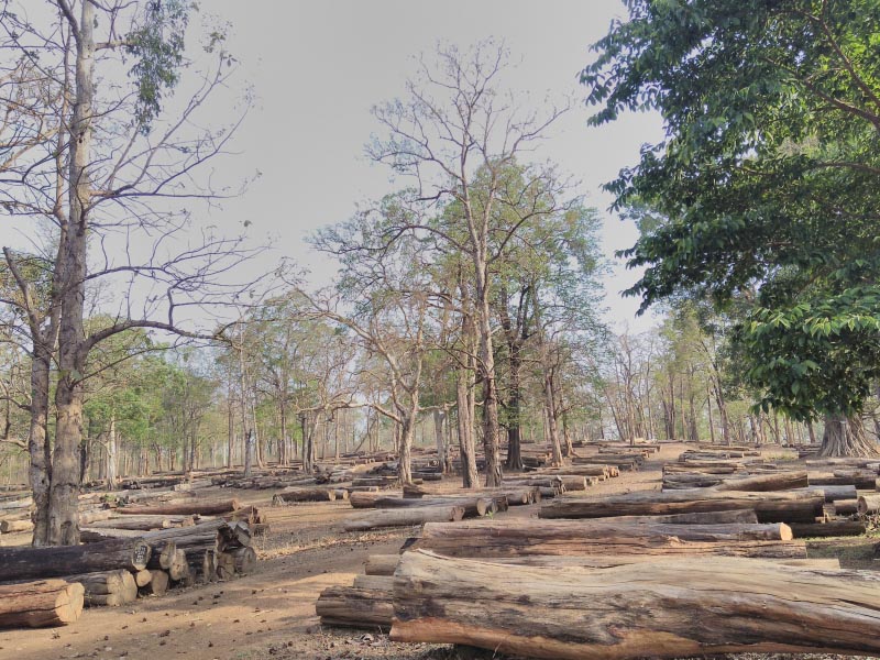 Meeting The Farmers Of The Forests At Dandeli
