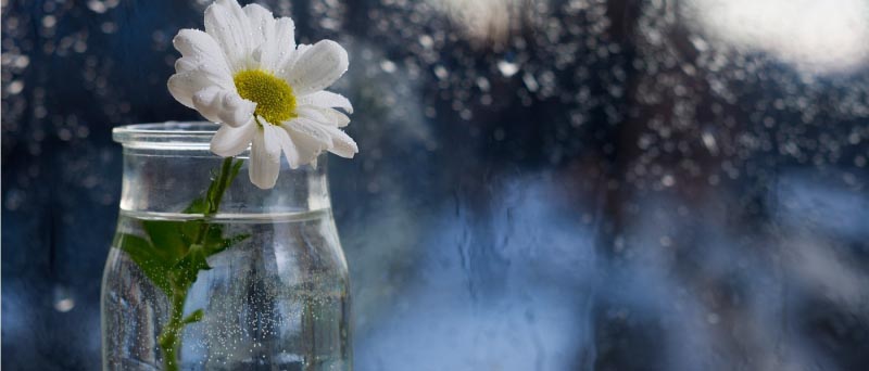 Memorable March: A Look Back In Gratitude