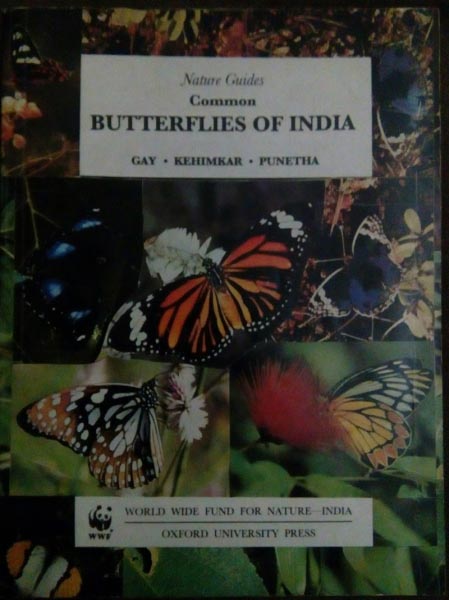 Memories Of Collecting And Conserving Butterflies