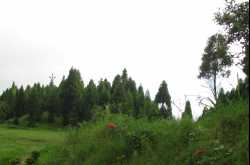 Memories of a Dreamy Village - Chimney, Kurseong