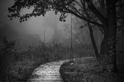 Memories of the past