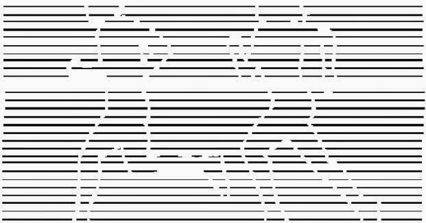 Memory -- A Forged Identity Of Ourselves