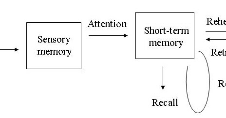 Memory Models In Psychology - Understanding Human Memory