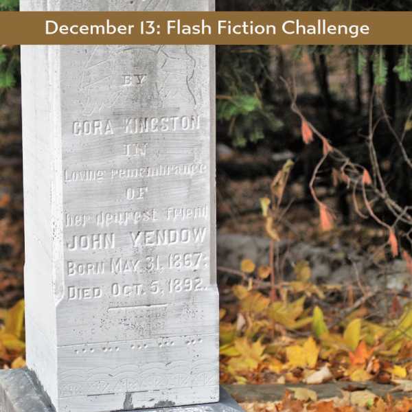 Memory In The Backyard