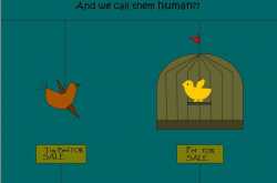 Men cage real birds and find one hundred ways to make toy birds fly and look real.