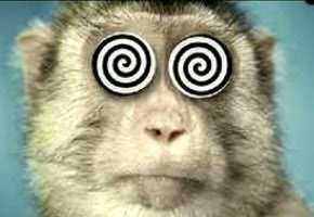 Mera 100 Rupaye Ka Note, Khujli  Aur Accidents!