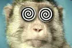 Mera 100 Rupaye ka Note, Khujli  Aur Accidents!