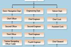 Merchant Navy Career