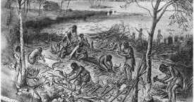 Mesolithic Age Of Indian History