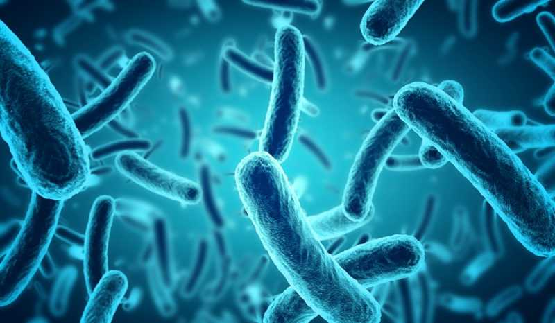 Microbes In Human Welfare - Applications Of Microbes - Biothix.com