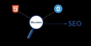 Microdata
