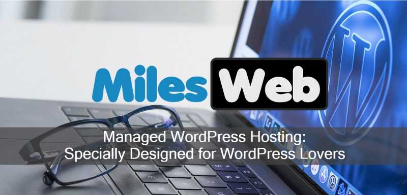 MilesWeb Managed WordPress Hosting: Specially Designed For WordPress Lovers