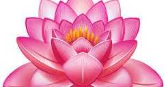 Mind, Soul, Body And Money