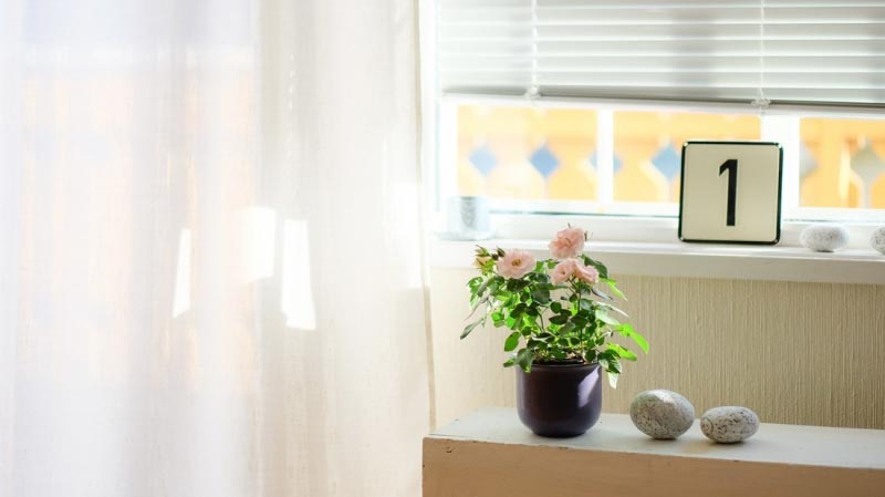 Mindful Setting Of Your Home Office - Moms Methods